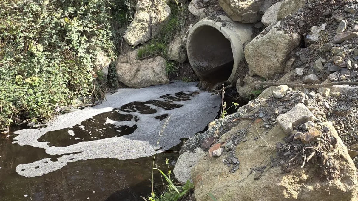 Instalación de Yalova multada con 5 millones de TL por contaminar el mar de Mármara