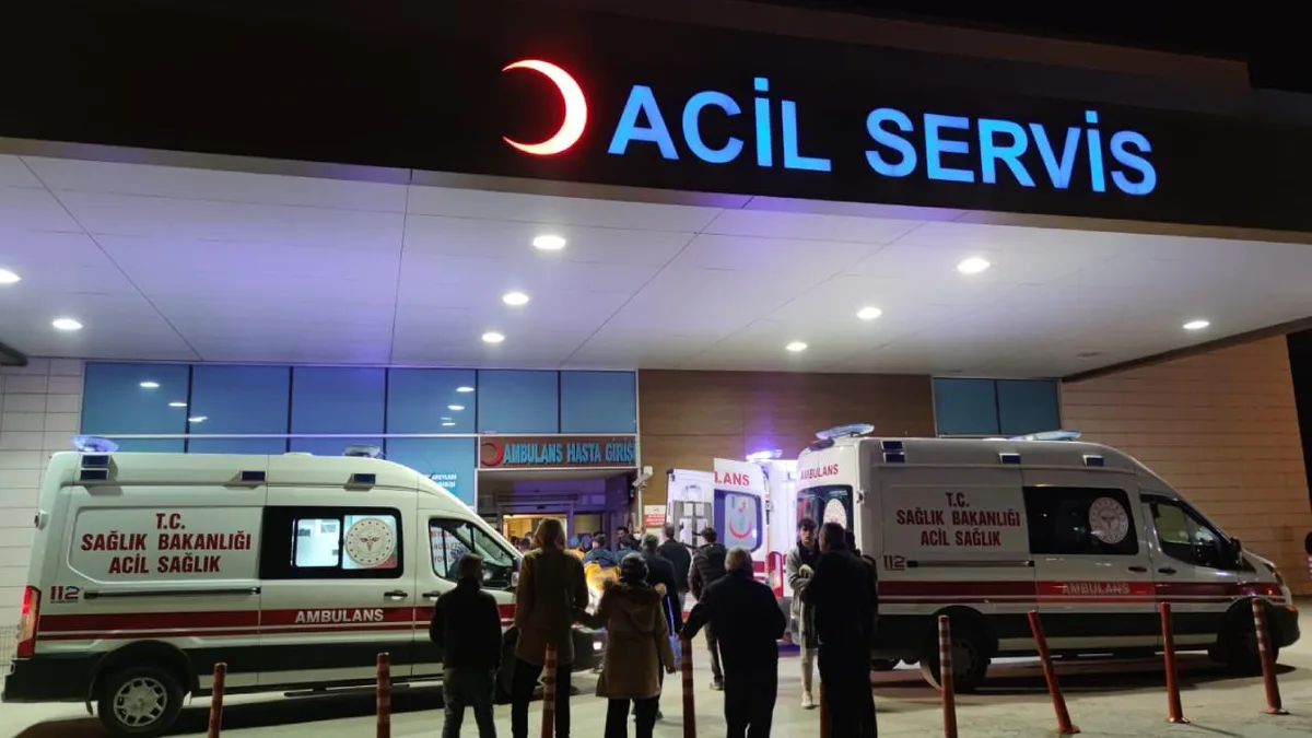 Un paciente acudió 337 veces a hospitales de Estambul en un año, afirma el director de Sanidad