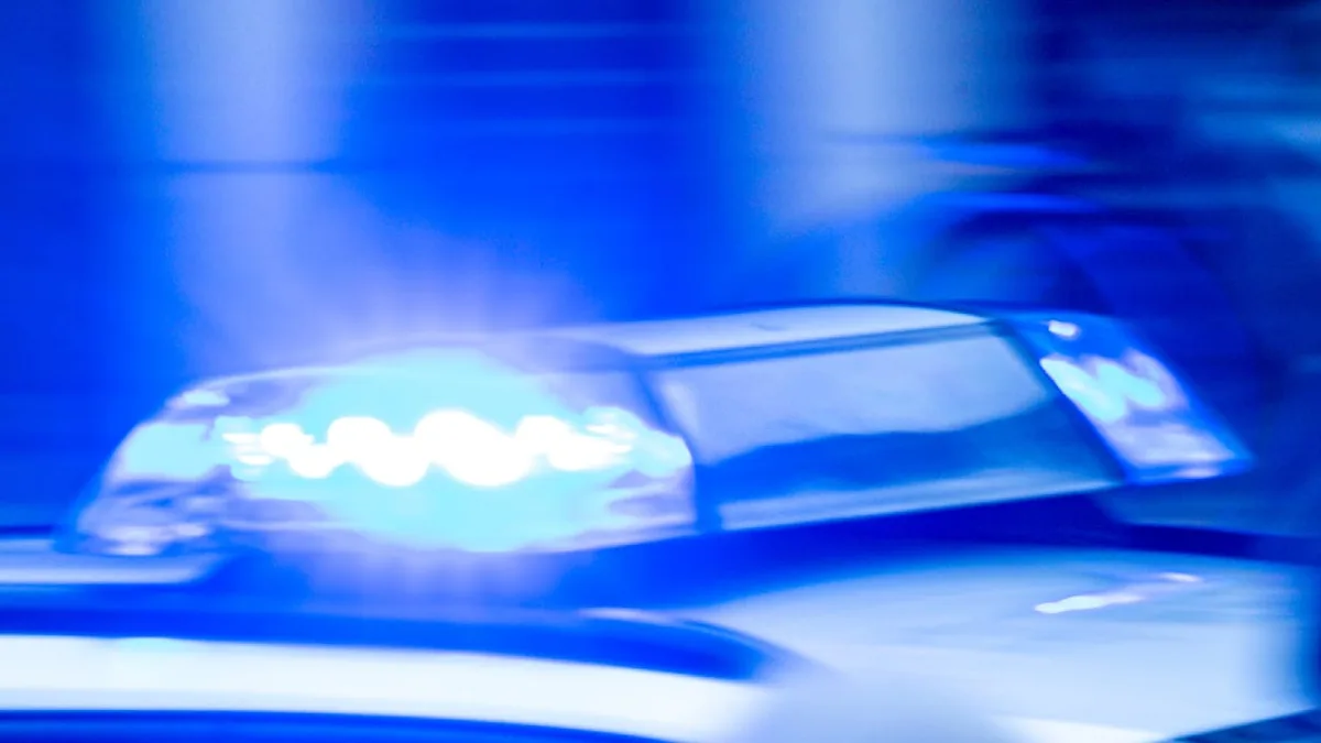 Teenager Fatally Stabbed After Party in Marsberg, Germany; Two Suspects Sought