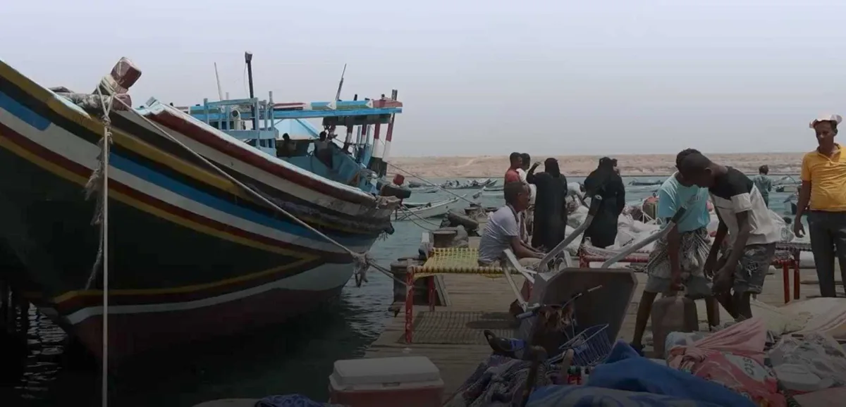 At Least 109 Migrants Dead and 116 Missing After Boat Capsizes off Djibouti