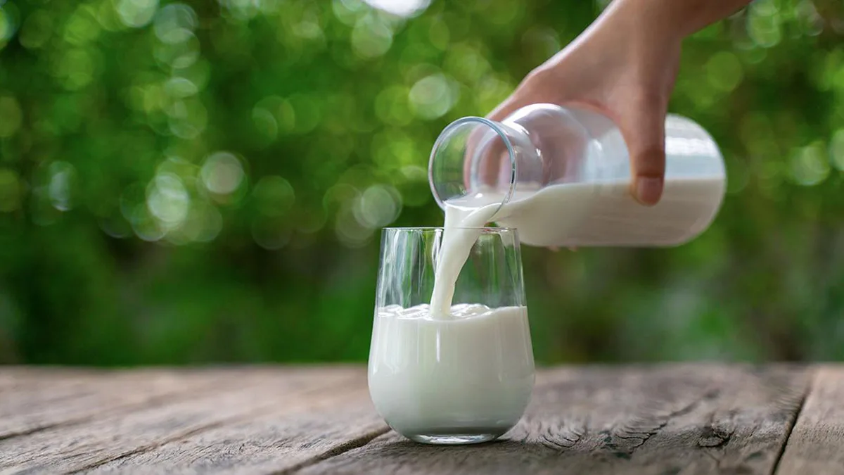 La Turquie limitera les sucres ajoutés et les arômes artificiels dans les produits laitiers