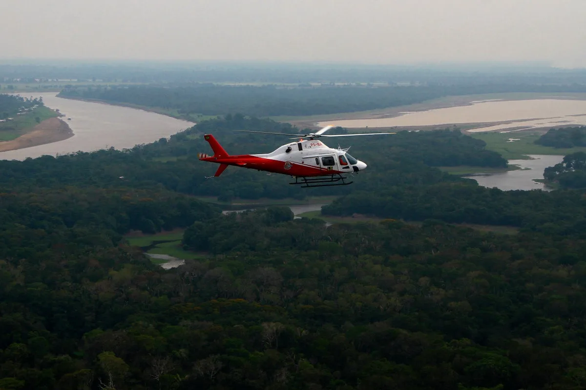 Brazilian Amazon Deforestation Falls to Lowest Level Since 1988