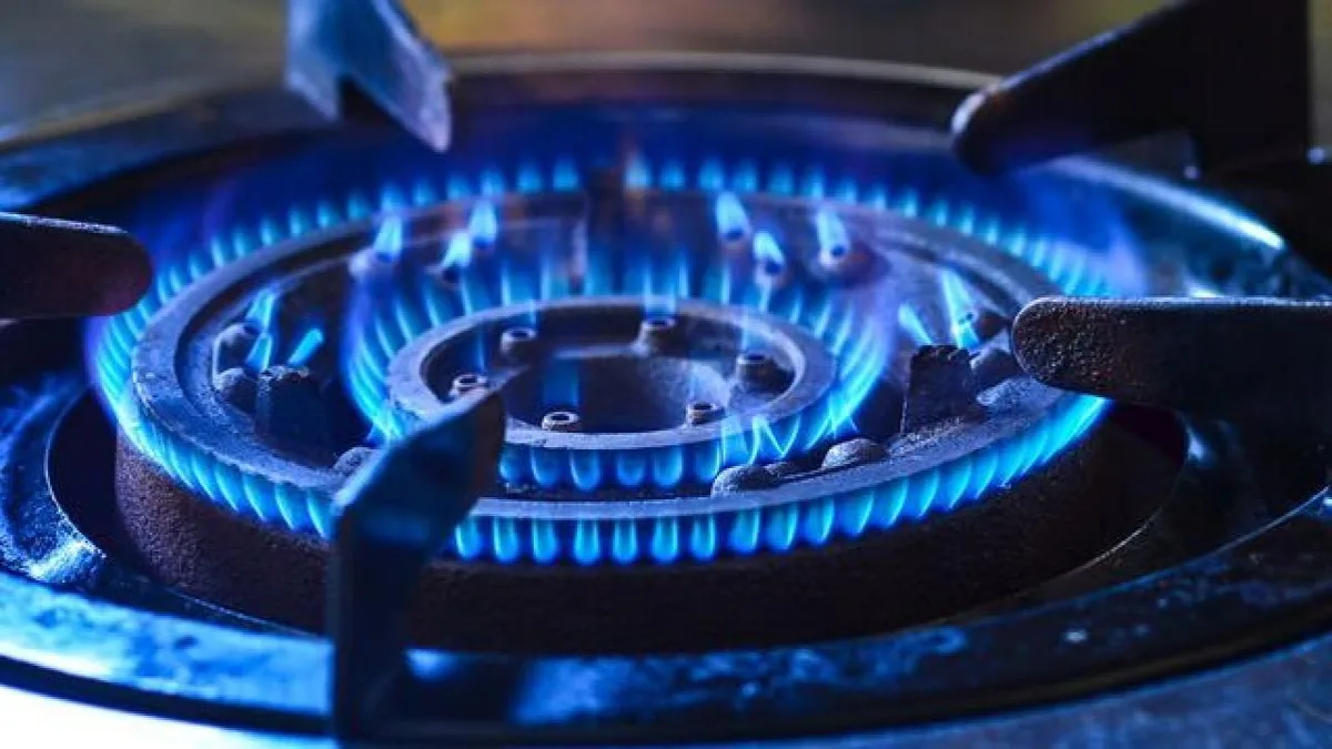 BOTAŞ past de verbruiksgrenzen voor aardgas in huishoudens aan voor november en december
