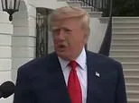 Trump Says He Is Considering Joining Saudi Strikes Against Houthis After Deadly Airport Attack