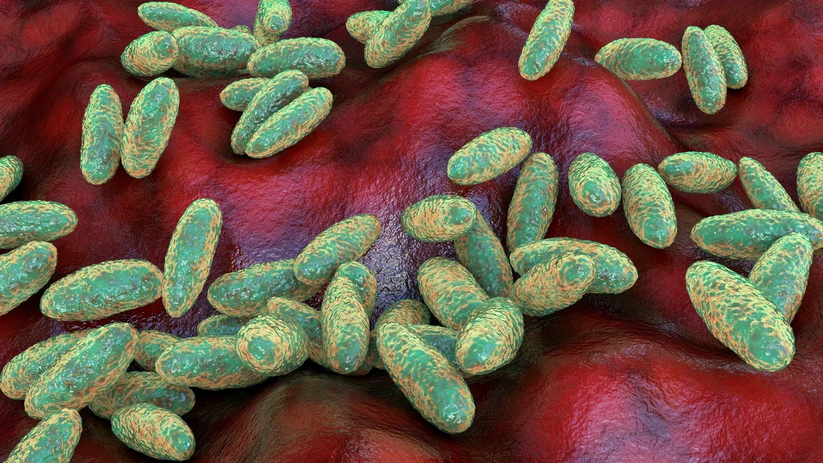 Trabajador de laboratorio muere por peste neumónica sospechosa, 200 bajo observación