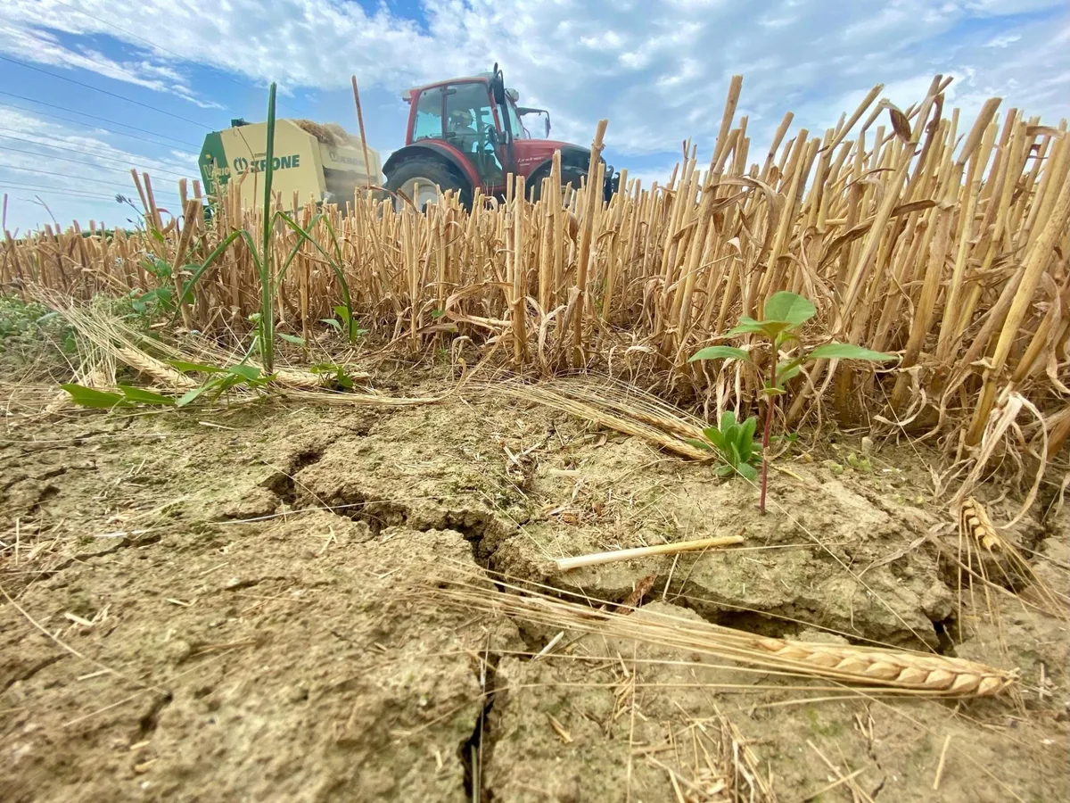 Hail Insurance betaalt boeren 375 miljoen euro voor schade door recorddroogte