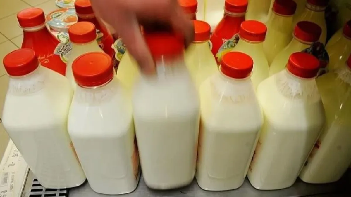 Neue Vorschriften für Joghurt- und Ayran-Verpackungen: Zwei Begriffe verboten