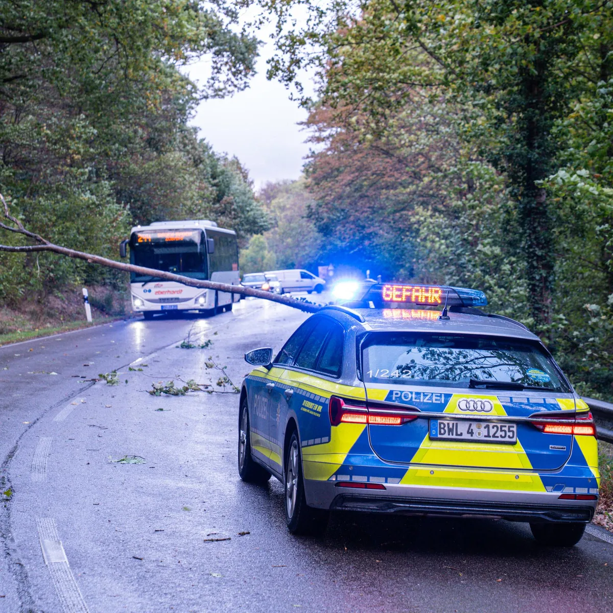 Herfststorm verwondt mensen en verstoort het treinverkeer in delen van Duitsland