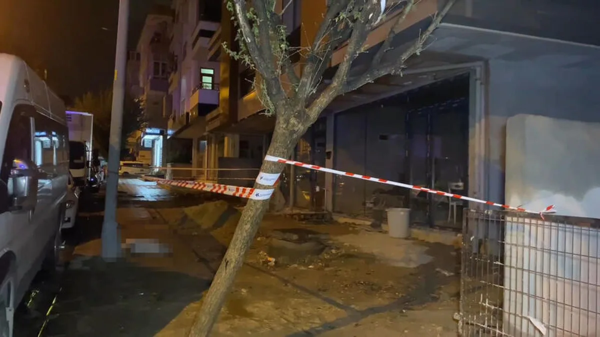 Perro muere tras una descarga eléctrica en Küçükçekmece, dueño herido