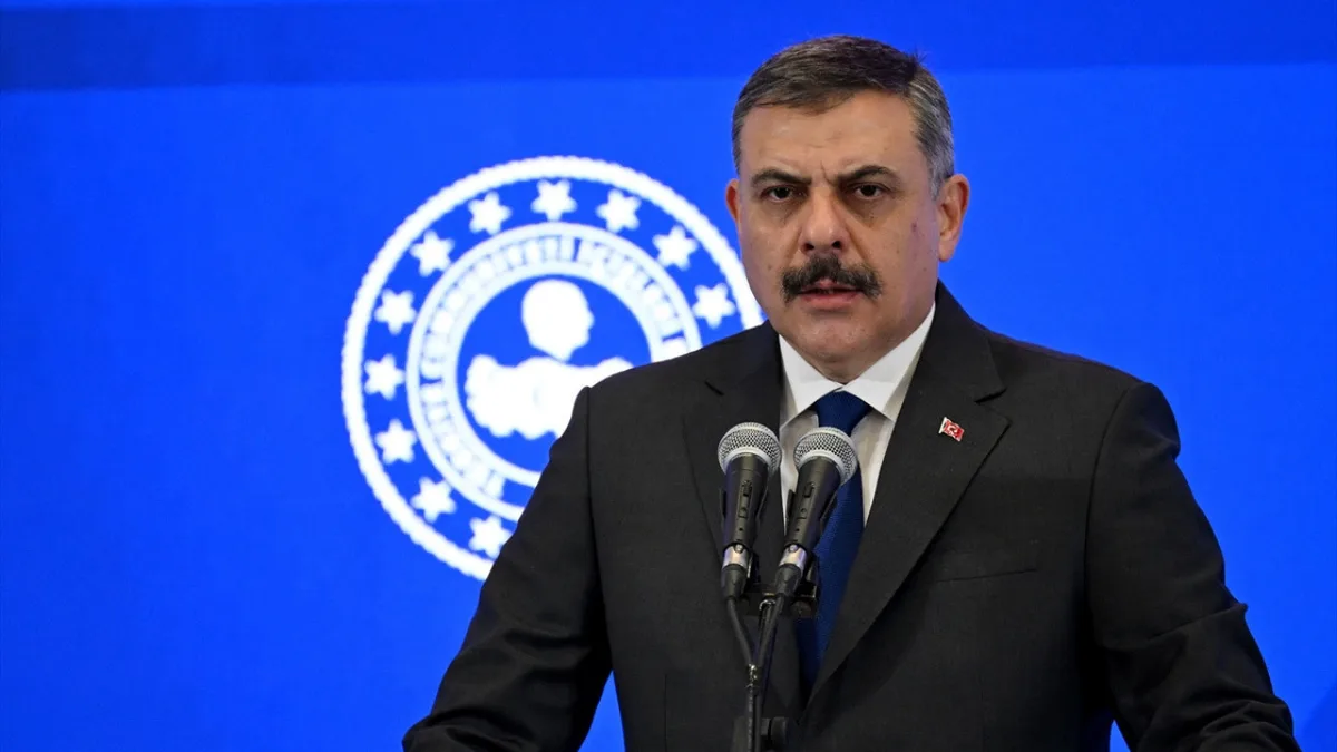 La Turquie affirme que tous les animaux errants ont été conduits dans des refuges ou des habitats naturels
