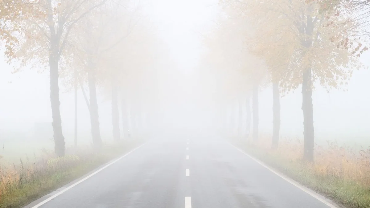 Weersverwachting Duitsland: mistig, bewolkt en koel weer verwacht met Halloween
