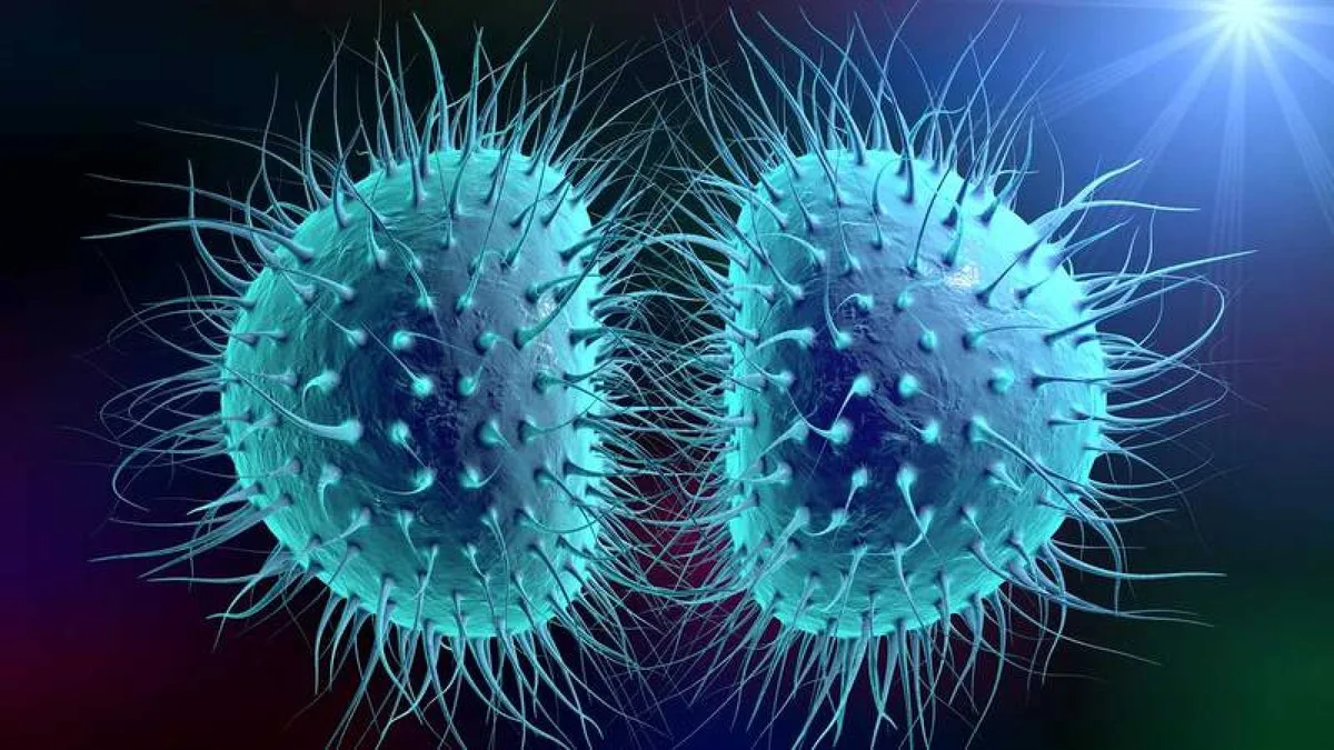 Soa-cijfers blijven hoog in Spanje: gonorroe stabiliseert, chlamydia neemt toe
