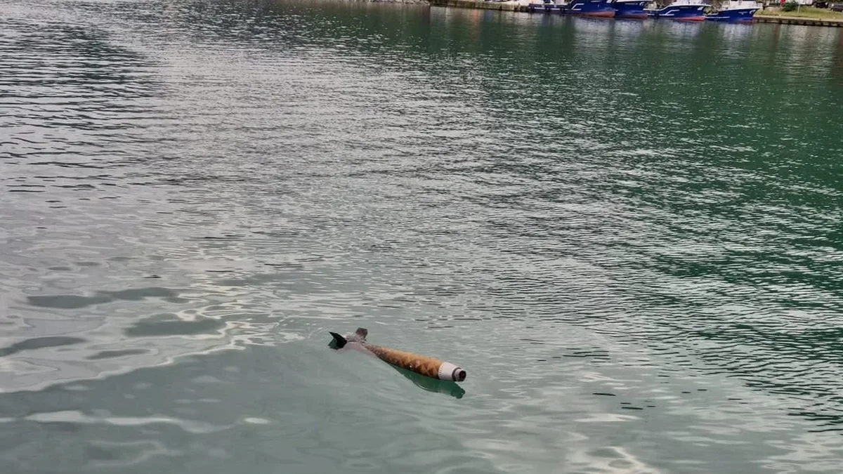 Raketachtig object ontdekt op zeeoppervlak in Hopa, Turkije