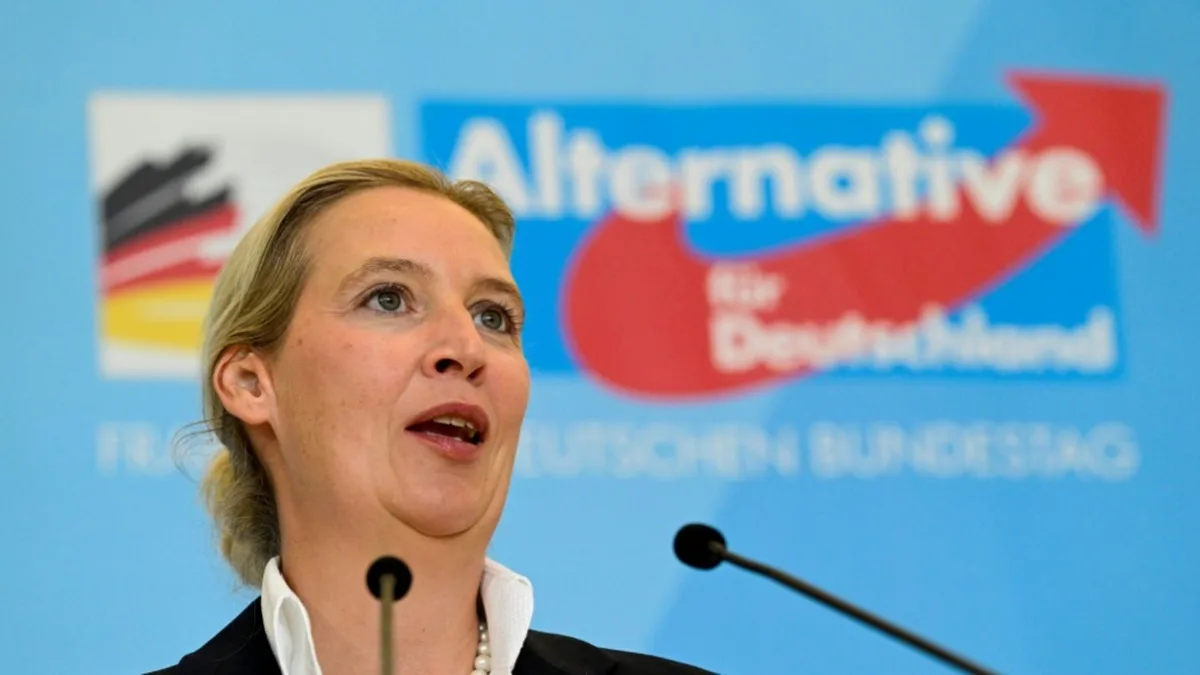 AfD schlägt EU-Umbau vor, um Befugnisse von Parlament und Kommission zu beschneiden
