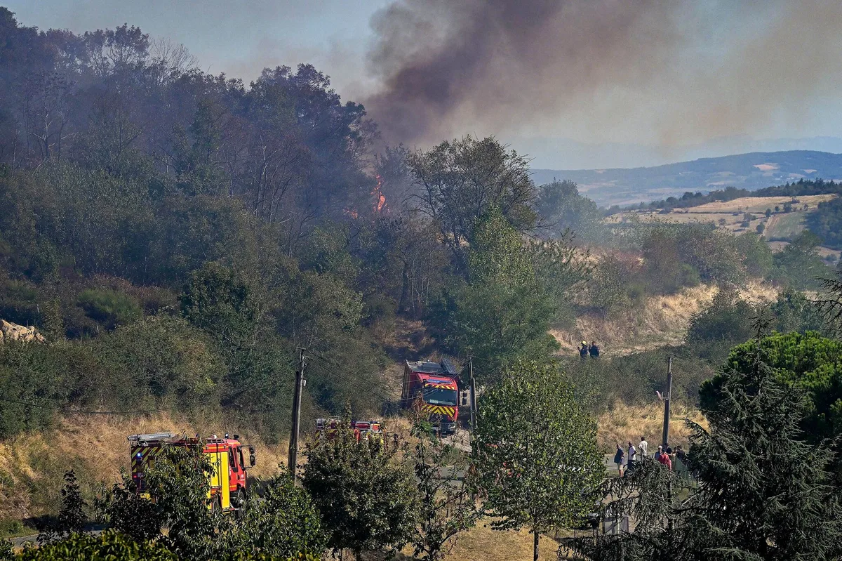France Records 98,000 Hectares Burned in Wildfires This Year