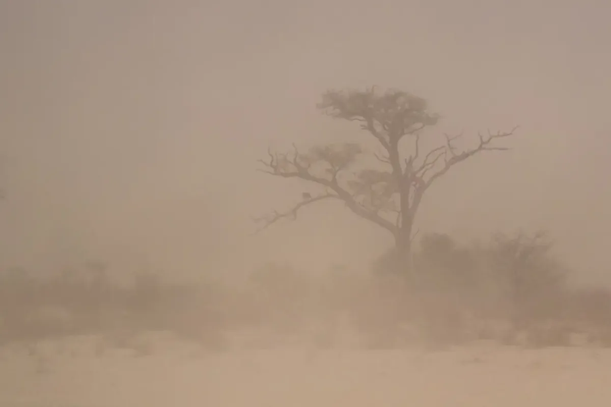 Dust Transport From Syria Expected to Affect Nine Turkish Provinces