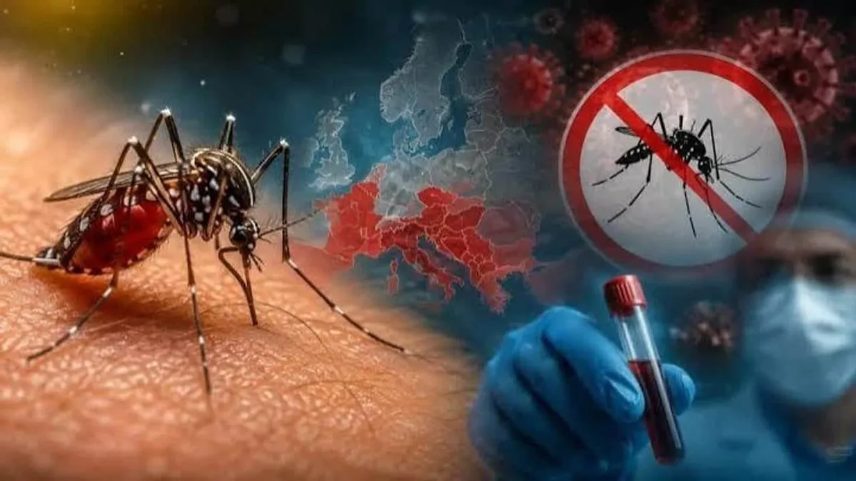 I casi di virus del Nilo occidentale nell’UE raggiungono il record di 1.715, con 130 decessi segnalati