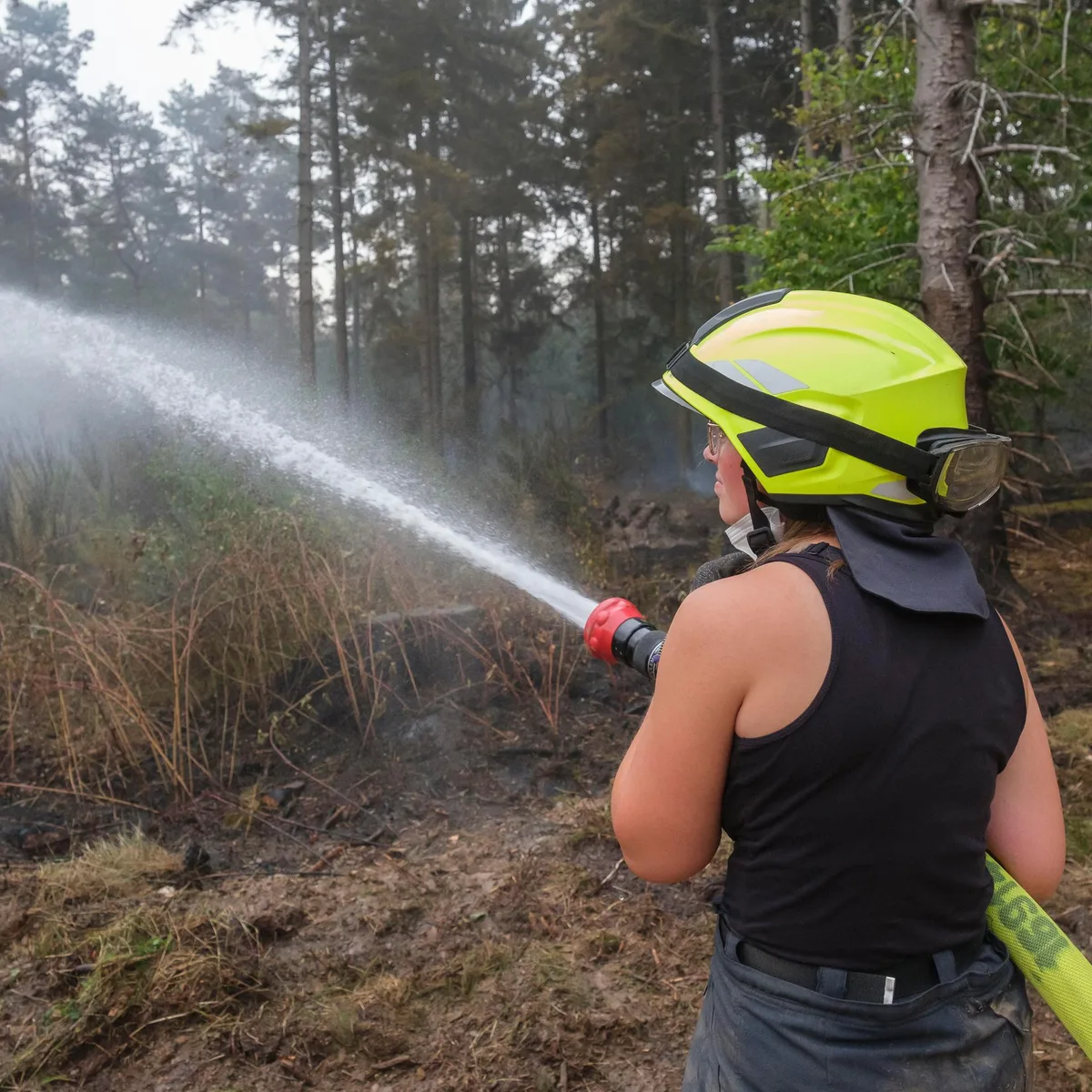 Hürtgenwald Wildfire Burns 339 Hectares, Officials Release Final Assessment